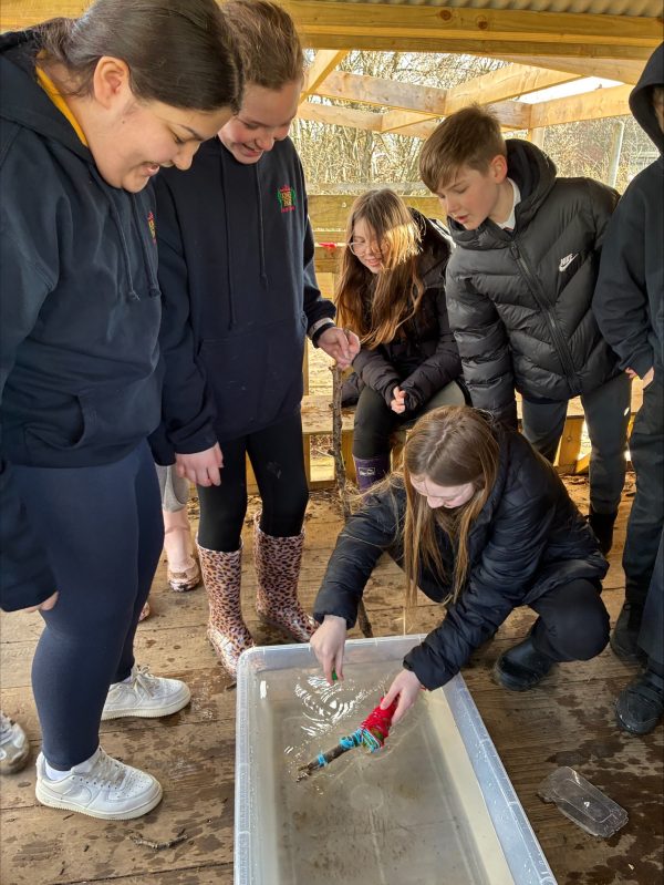 processed-0BDF22B2-787D-423F-B765-81D0D7170383