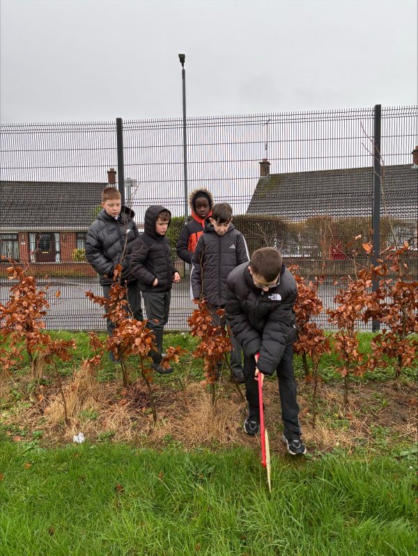 processed-39D55990-0F79-4D3A-B179-5377BADA899A