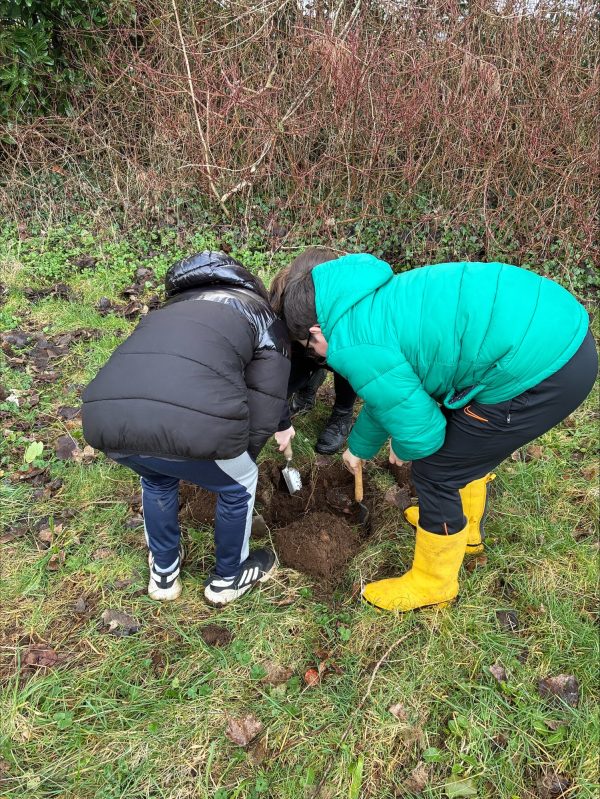 processed-4C8FD004-4C8D-4EFF-9DAA-B8F12713C3DF