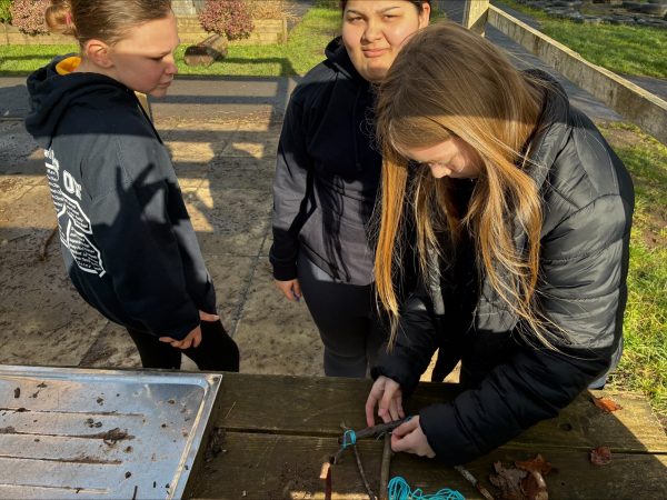 processed-762F27A7-D32A-4AB2-AE16-055643CBEC29