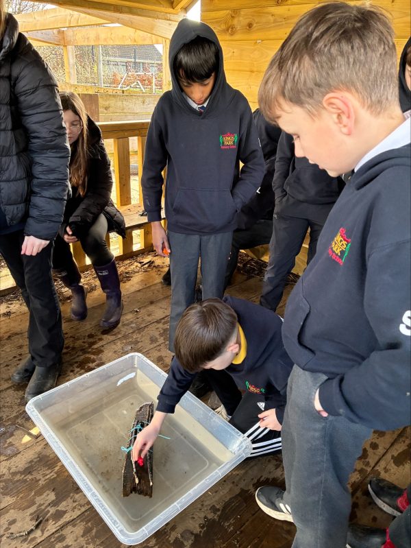 processed-7B0DE1B2-2B6C-4822-9FCA-4A8807AFAEB8