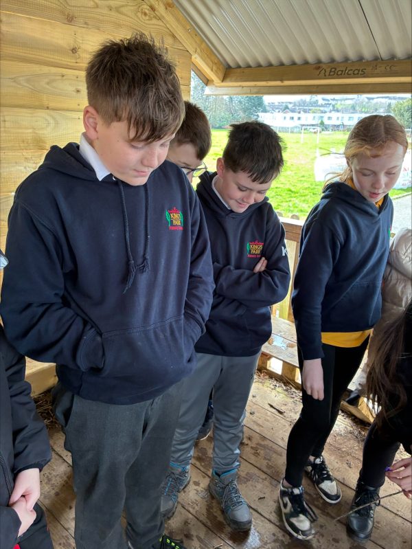 processed-83AD947C-DB93-4A30-85F6-87410C42ED56