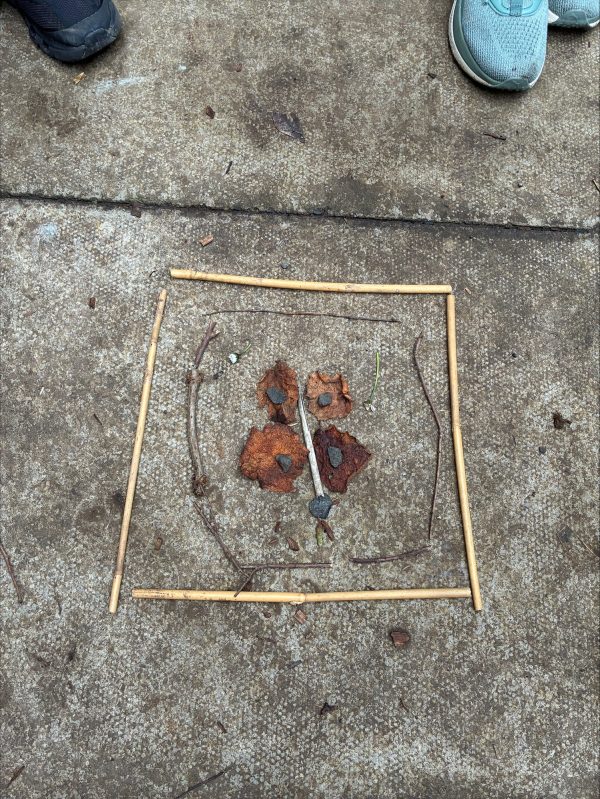 processed-92F80D1D-03A7-4802-9F01-24E381125276