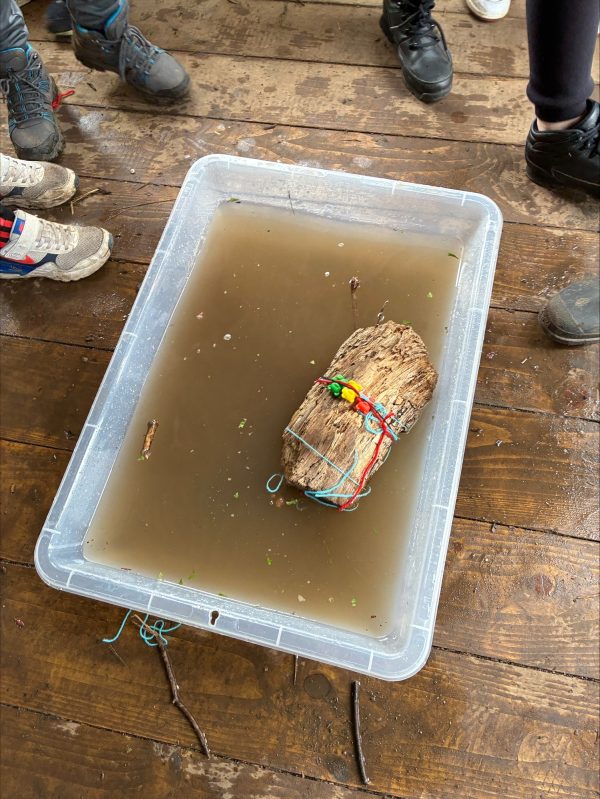 processed-975A6986-9087-40FE-B451-3D07898329D2