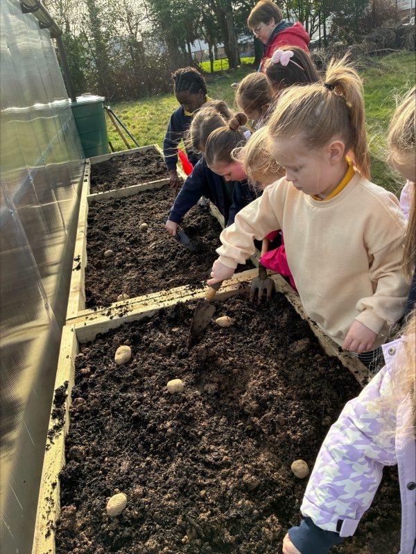 processed-99F1B007-1308-4484-A406-5AF815E391351