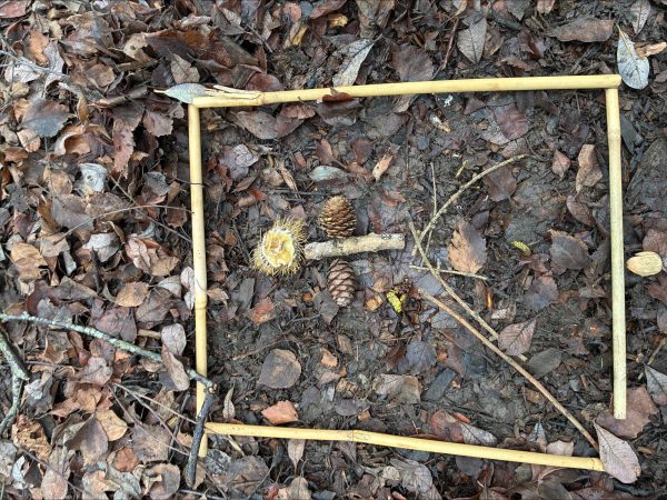 processed-A2CFB933-8973-48B5-98A3-B99F12C758C0