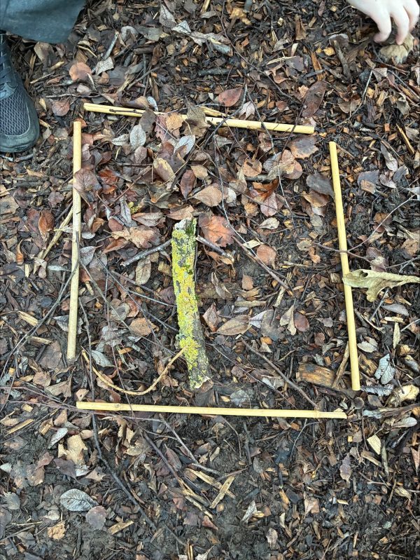 processed-A7A6C2F7-A880-44EF-B87B-12AA0CDB74B9