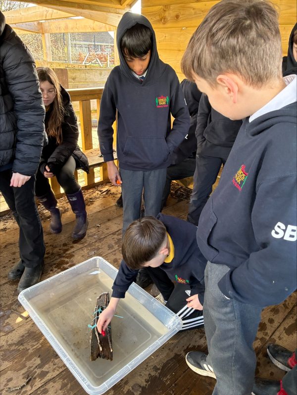 processed-B1176A57-BA99-4511-9602-8795D9CE5257