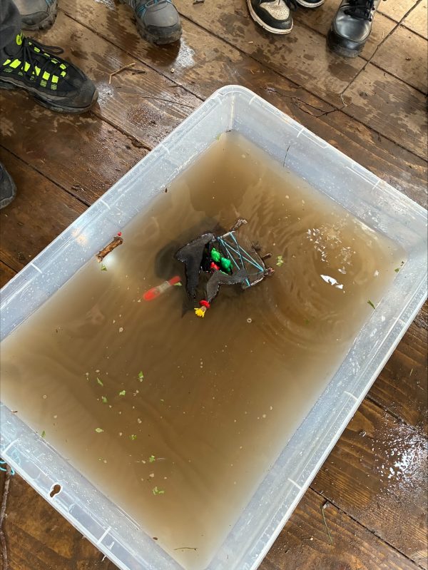 processed-B1E3D370-3DFB-4954-AEC8-B759491C0841