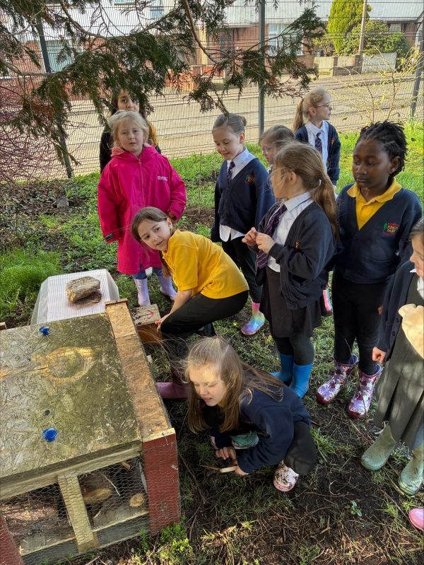 processed-B5178F62-2898-4850-868A-7F79C3279DB5