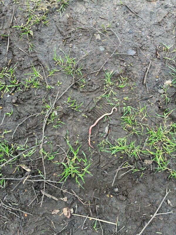 processed-BAE1B79C-CFF3-43F5-9777-82F65A5E7985