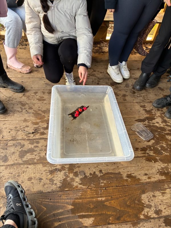 processed-CD03D6C4-270F-4438-B375-15DF5195EAB1