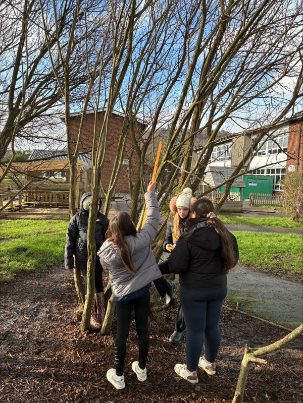 processed-CDF49EB9-6402-432F-97C1-BFE1C9AC72AD