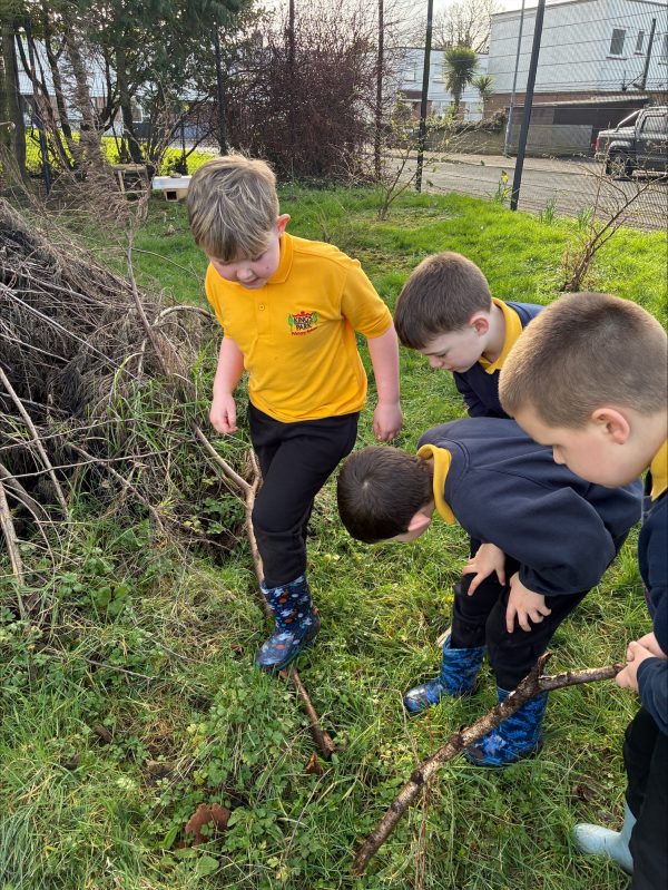 processed-D88C01E1-53E7-4490-93C8-54993BEAF9C8