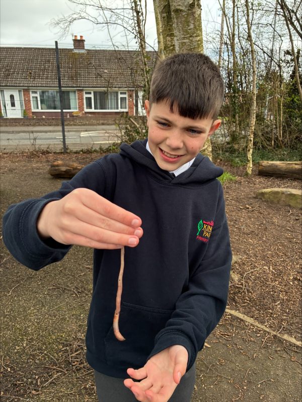 processed-E52D5E0D-3047-48AC-9CC8-31206476D82D