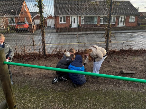 processed-F3203D53-2A30-4C9B-AB94-1B310E46B841