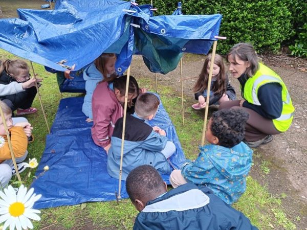 shape-den-building-photo