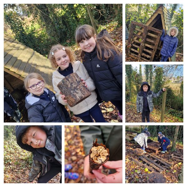 shared_collages_4096520138637816263