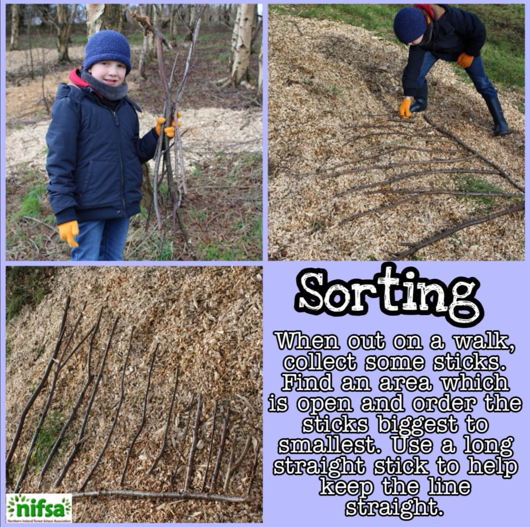 Sorting • Forest Schools in Northern Ireland